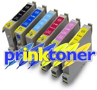 Epson T0487
